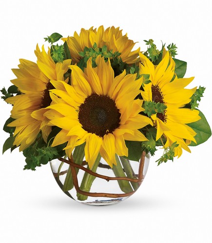 Sunny Sunflowers from Sharon Elizabeth's Floral Designs in Berlin, CT